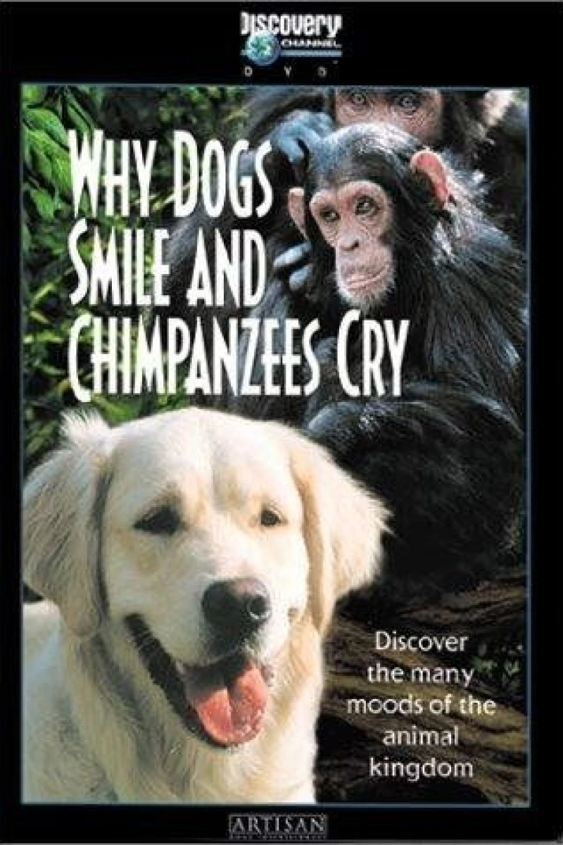 Why Dogs Smile Chimpanzees Cry Plakat