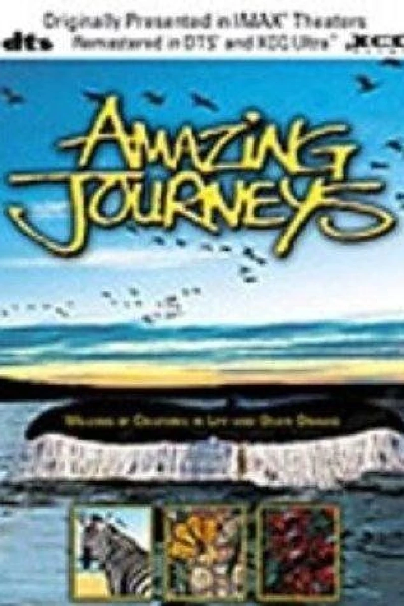 Amazing Journeys Plakat