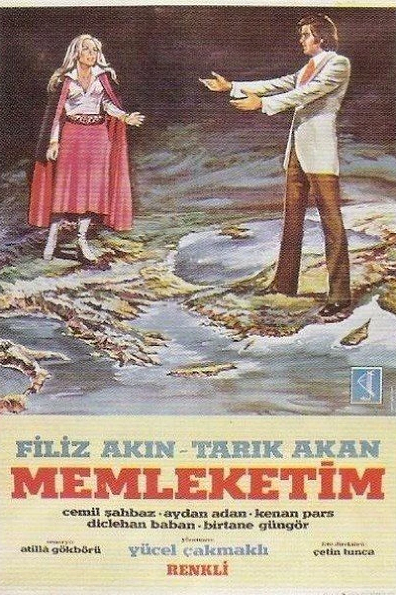 Memleketim Plakat