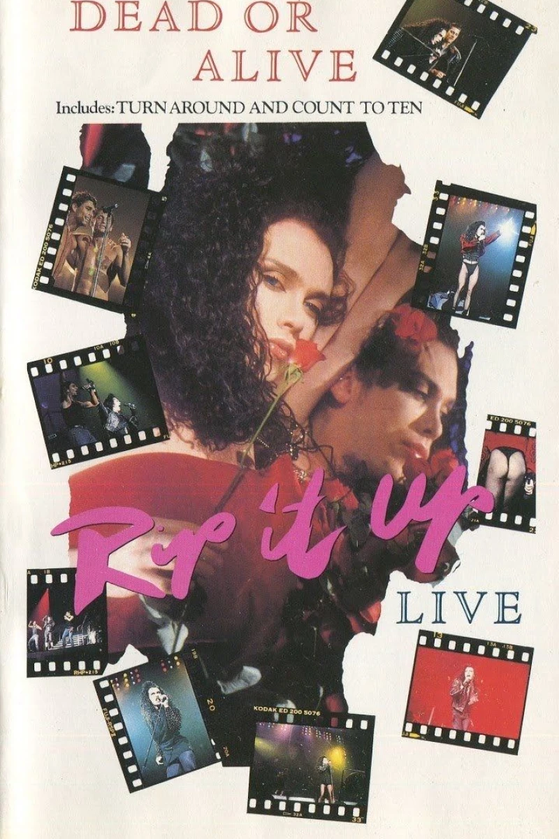 Dead or Alive: Rip It Up Live Plakat