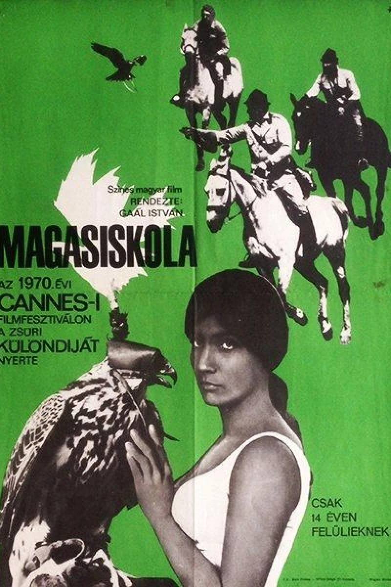 Magasiskola Plakat