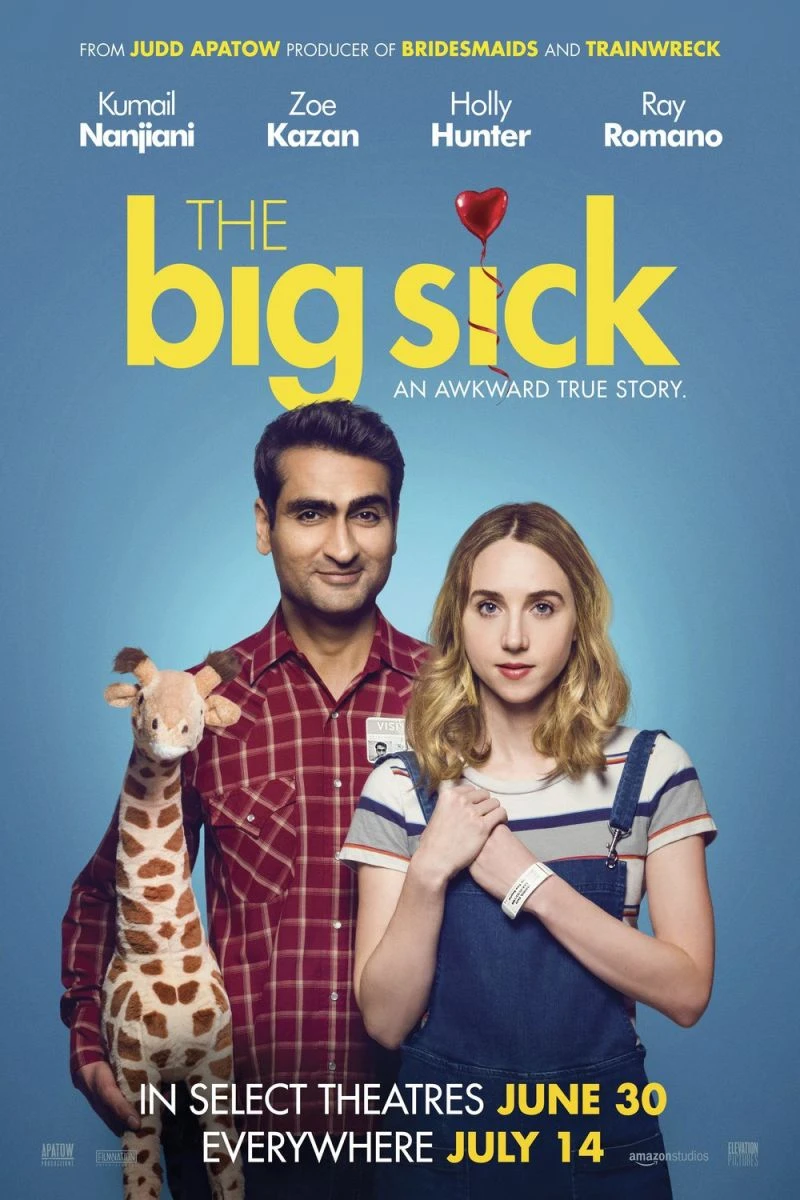 The Big Sick Plakat