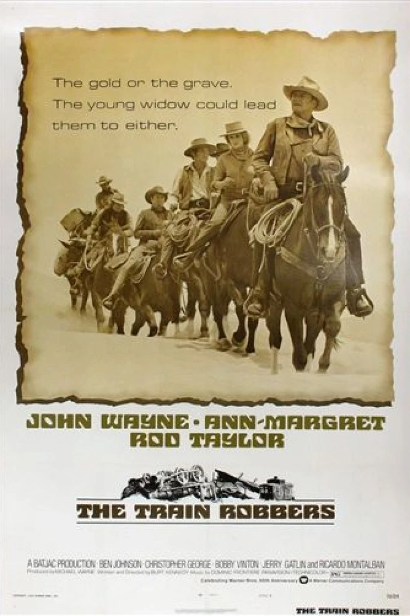 The Train Robbers Plakat