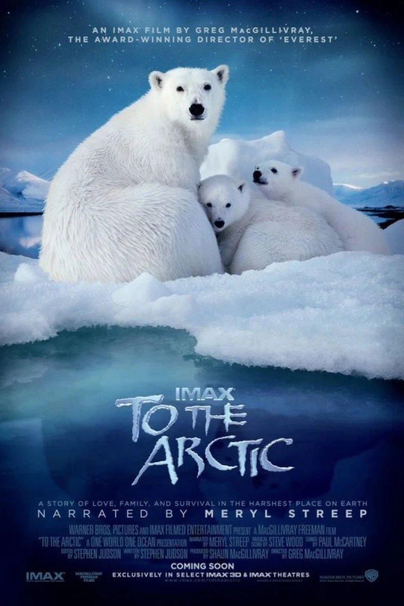 To the Arctic 3D Plakat