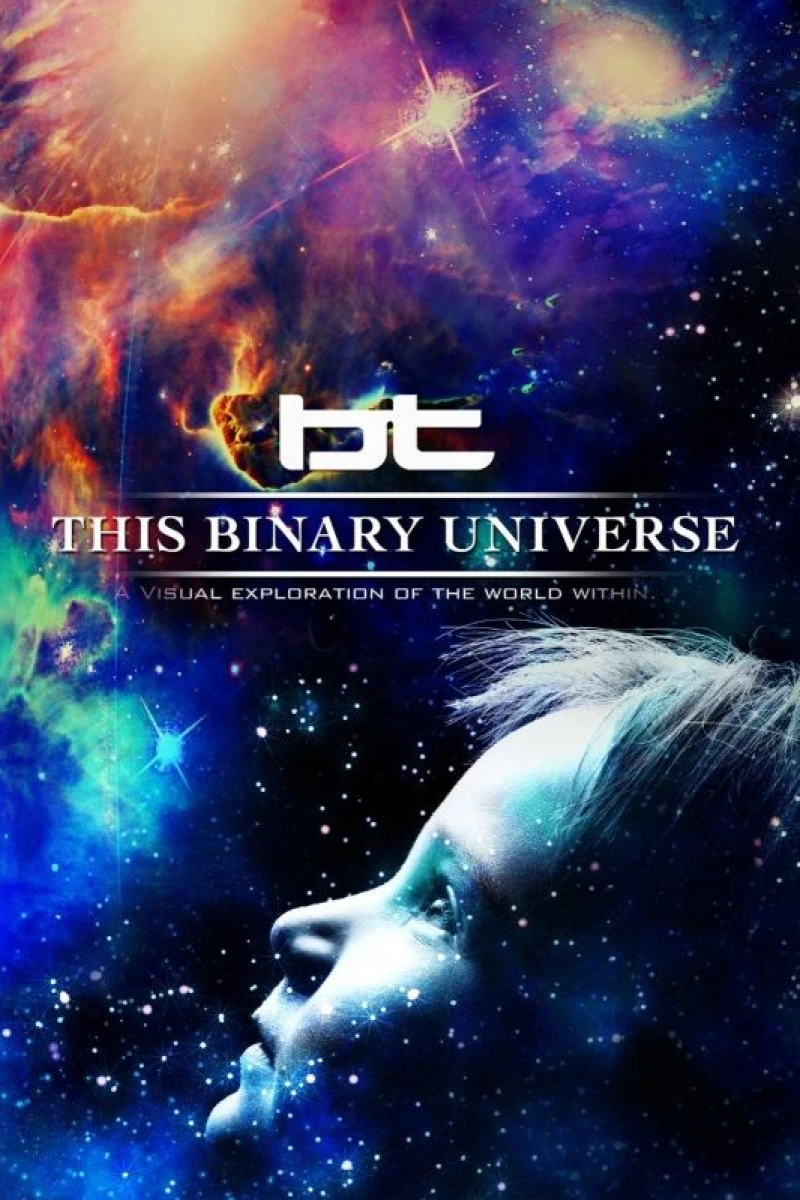 This Binary Universe Plakat