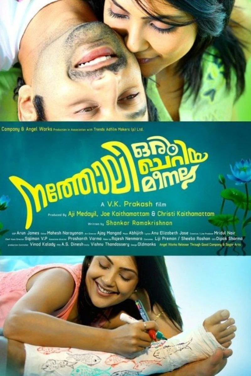 Natholi Oru Cheriya Meenalla Plakat