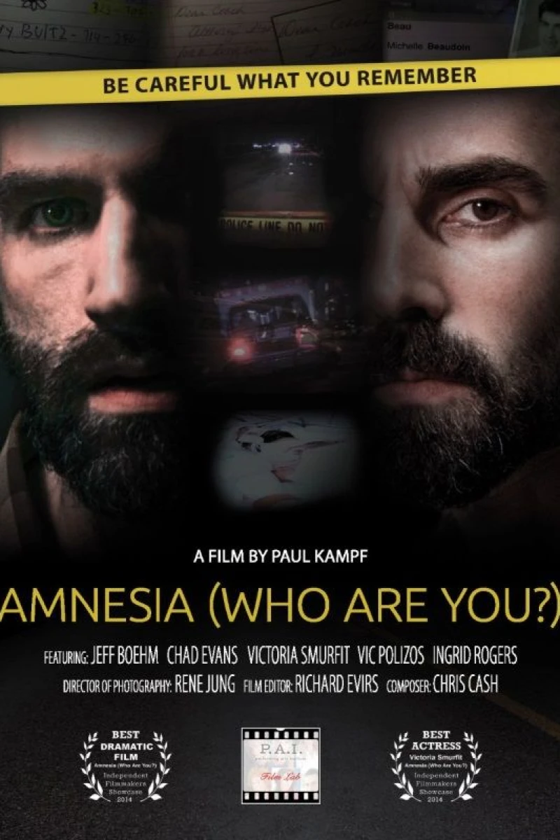 Amnesia: Who Are You? Plakat